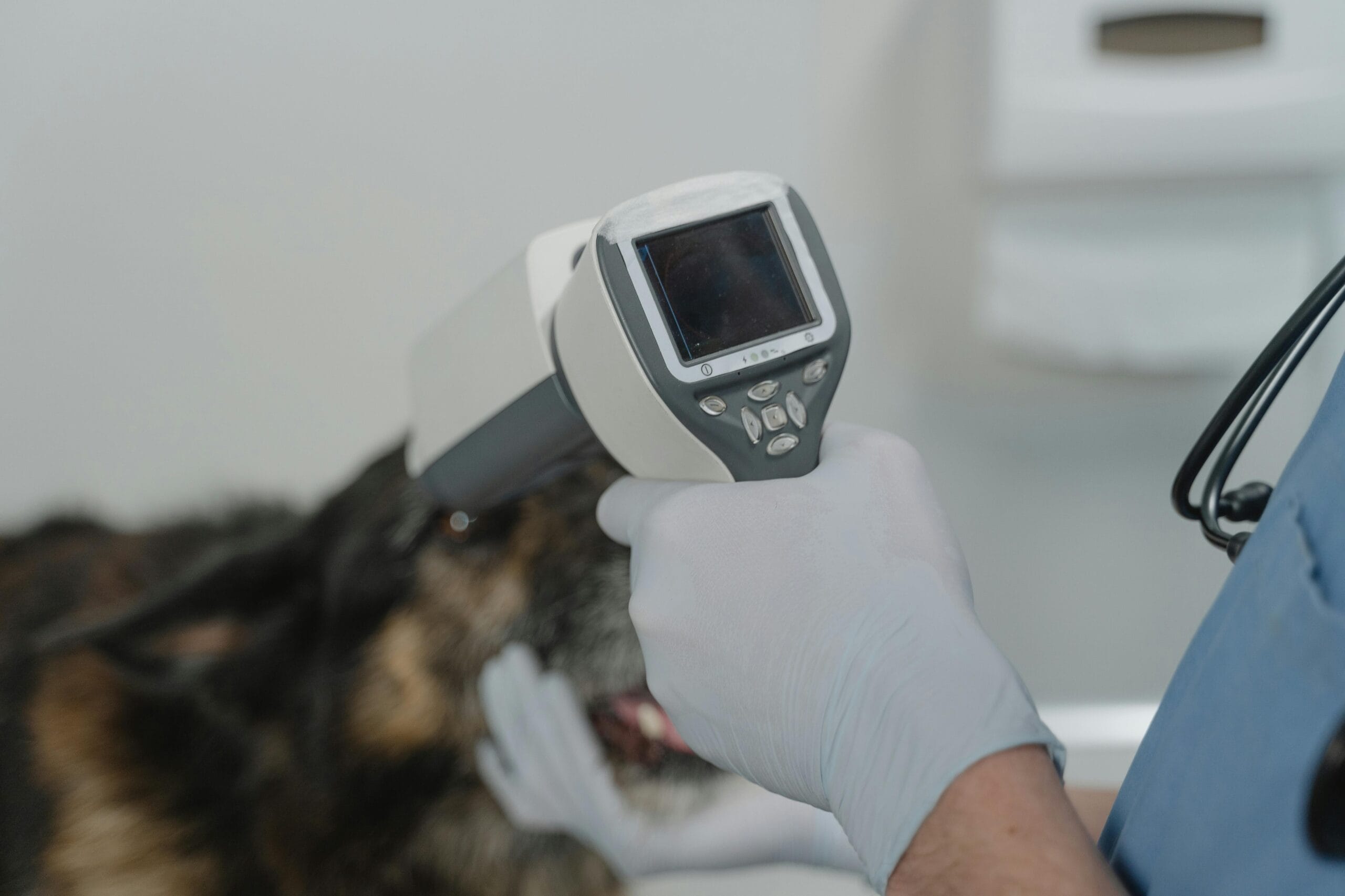 A chiropractor at Pure Chiro Health in Braselton, GA, using thermography to assess skin temperature variations and detect inflammation in a pediatric patient.